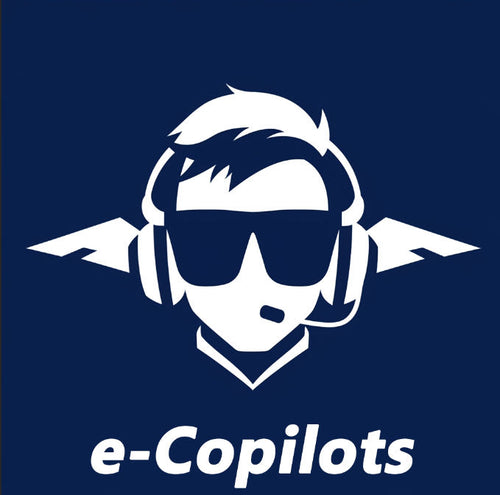 e-Copilots